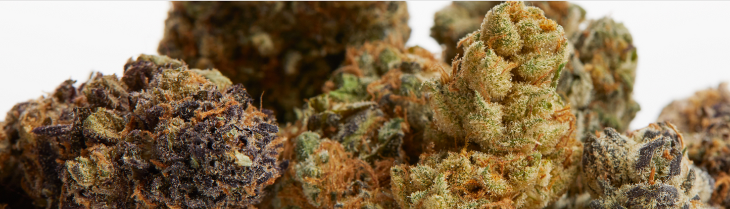 Indoor CBD Flower